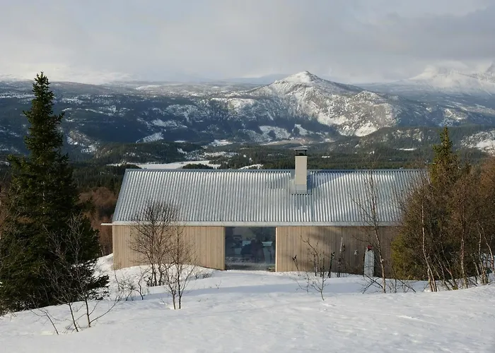 Designer With Mountain Views In Valdres *